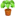 🪴